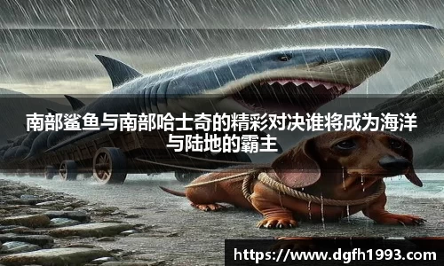 k1体育app下载