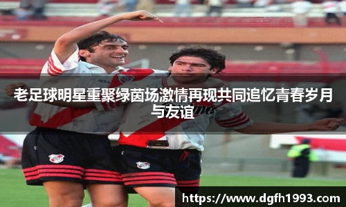 39153.k1体育十年品牌